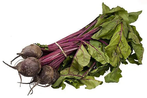 Bundle of red culinary beetroot with purple stems and green leaves